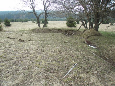 Foto 13